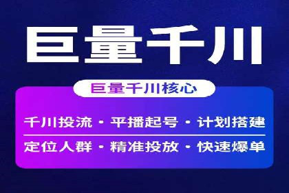 竞价SEM案例分享：快速提高网站流量技巧